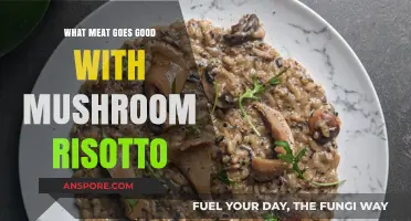 Perfect Pairings: Best Meats to Complement Creamy Mushroom Risotto
