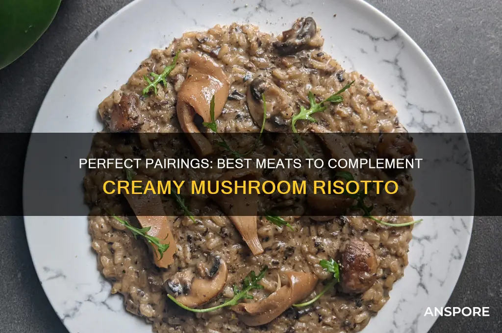 what meat goes good with mushroom risotto