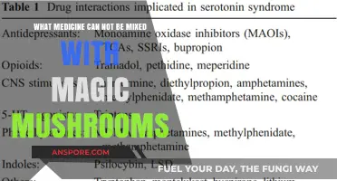 Magic Mushrooms and Medications: Dangerous Drug Interactions to Avoid