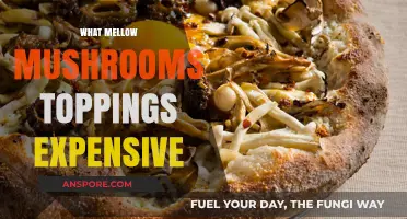Mellow Mushroom's Toppings: Why the High Cost?
