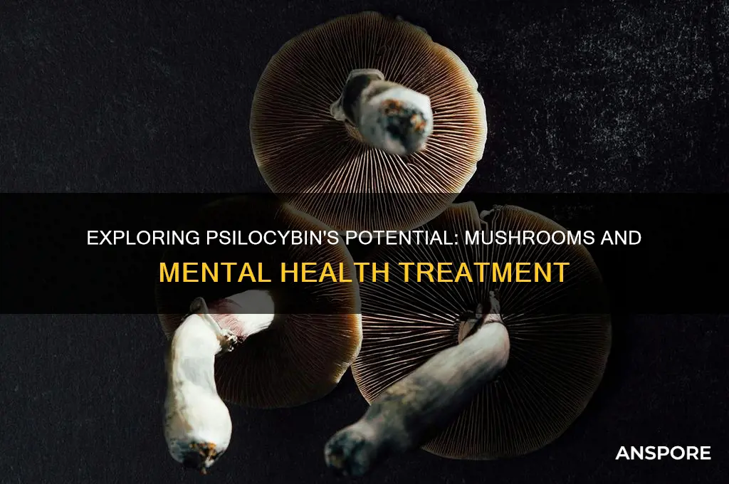 what mental illnesses can mushrooms help