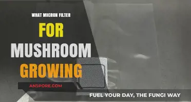 Choosing the Right Micron Filter for Optimal Mushroom Cultivation