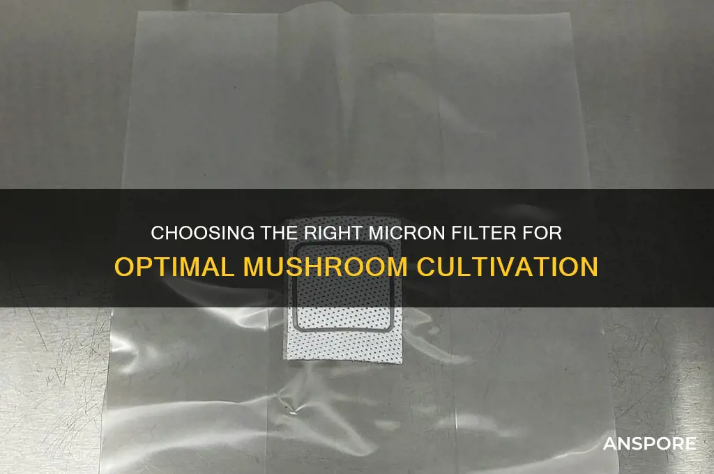 what micron filter for mushroom growing