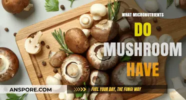 Mushrooms: Nature's Micronutrient Powerhouses