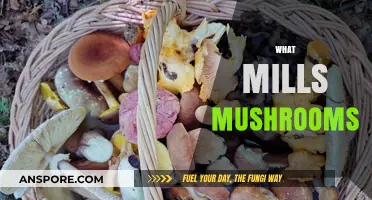 Mushroom Mills: The Science Behind Mushroom Growth