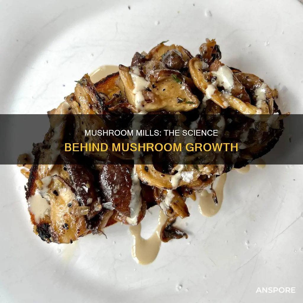 what mills mushrooms