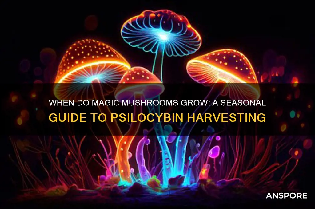 what month do magic mushrooms grow