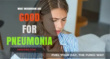 Mushrooms for Pneumonia: Natural Remedies to Support Recovery