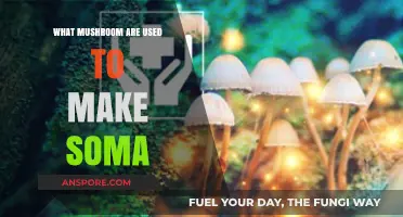 Unveiling Soma's Mystery: Exploring Mushrooms Linked to the Ancient Elixir