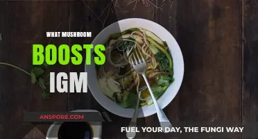 Mushroom Power: Boosting IGM with Natural Remedies