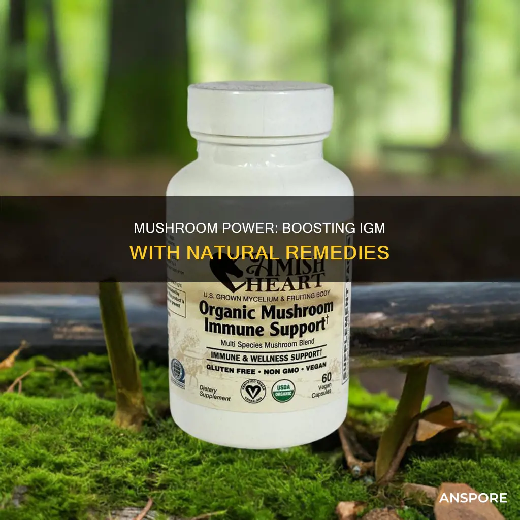 what mushroom boosts igm