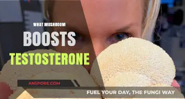 Mushroom Power: Natural Testosterone-Boosting Superfood