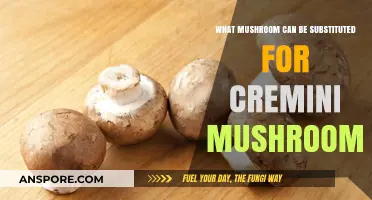 Best Cremini Mushroom Substitutes: Enhance Your Recipes with These Alternatives