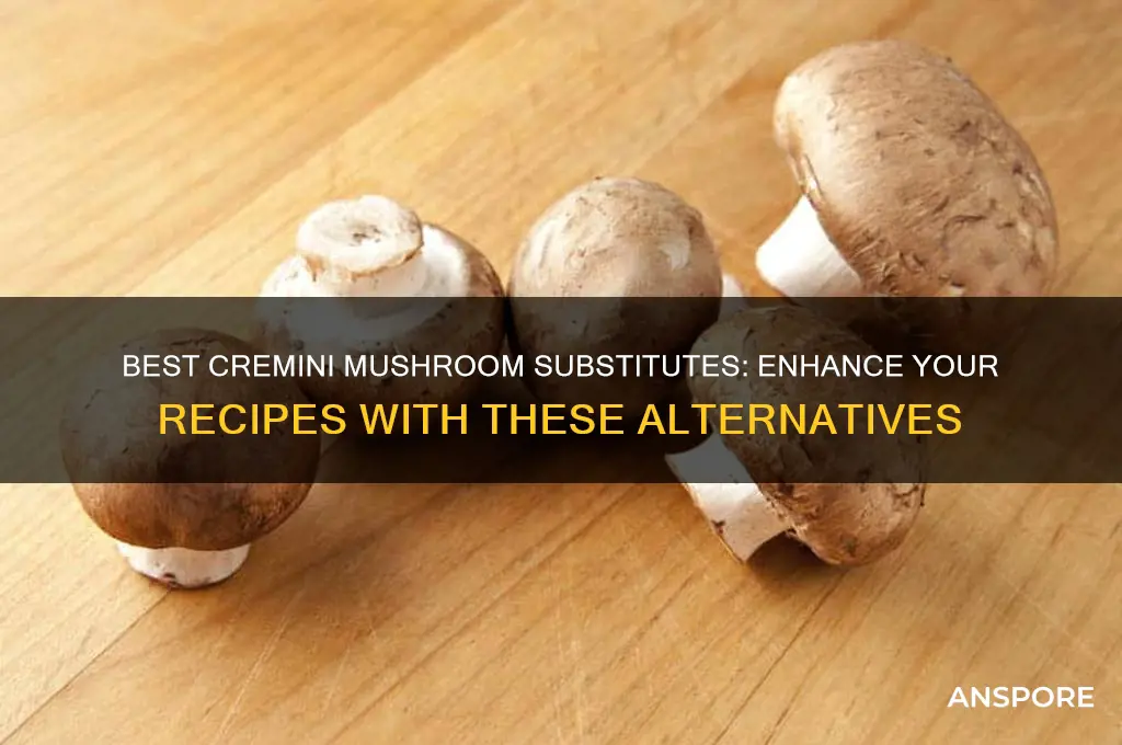 what mushroom can be substituted for cremini mushrooms