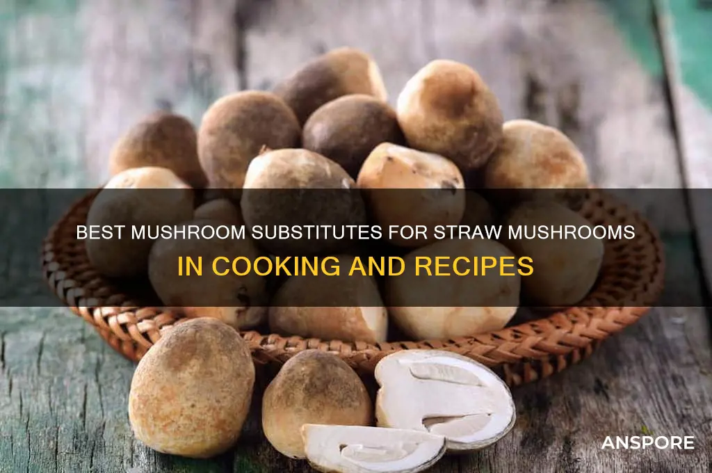 what mushroom can be used in place of straw mushroom