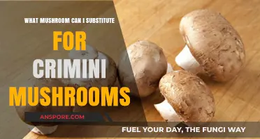 Best Crimini Mushroom Substitutes: Flavorful Alternatives for Your Recipes