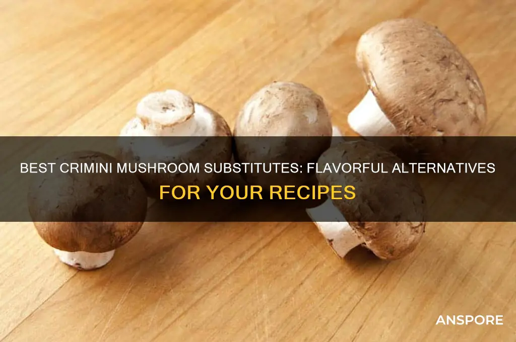 what mushroom can i substitute for crimini mushrooms