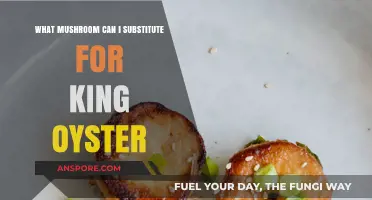 Best King Oyster Mushroom Substitutes for Your Recipes: Top Picks