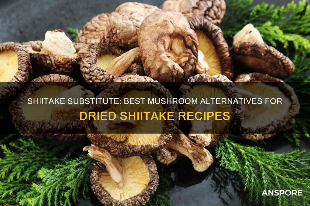 what mushroom can i swap for dried shiitake