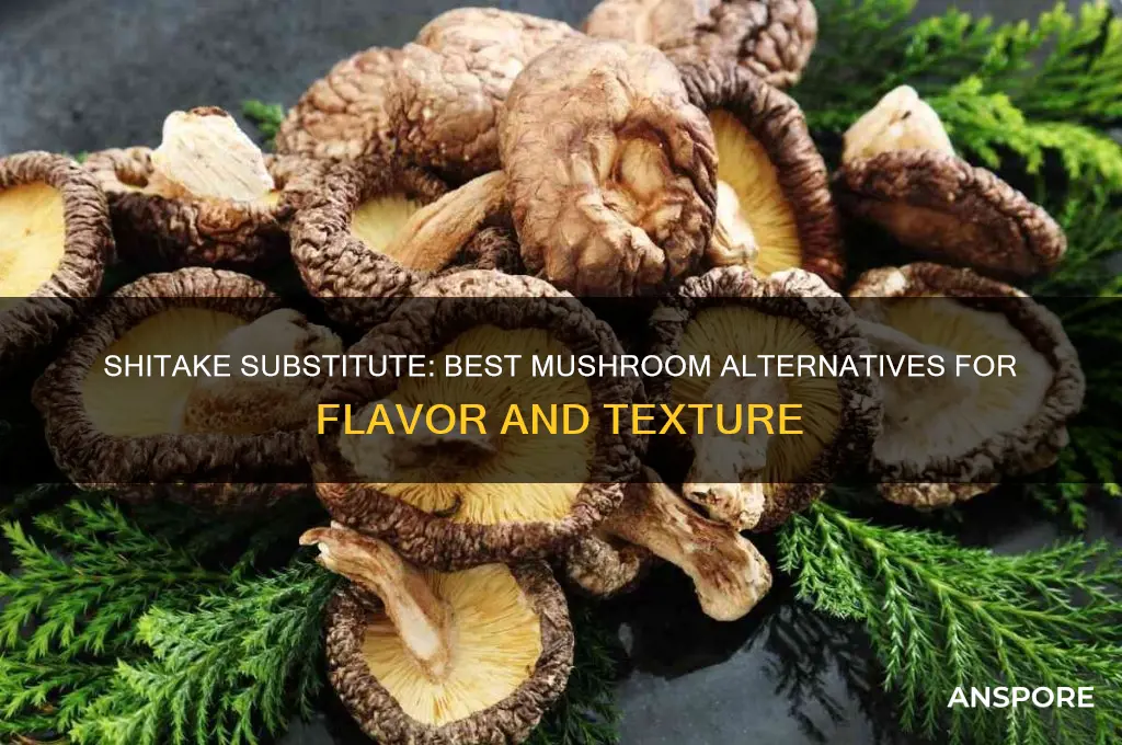 what mushroom can i swap for shitake