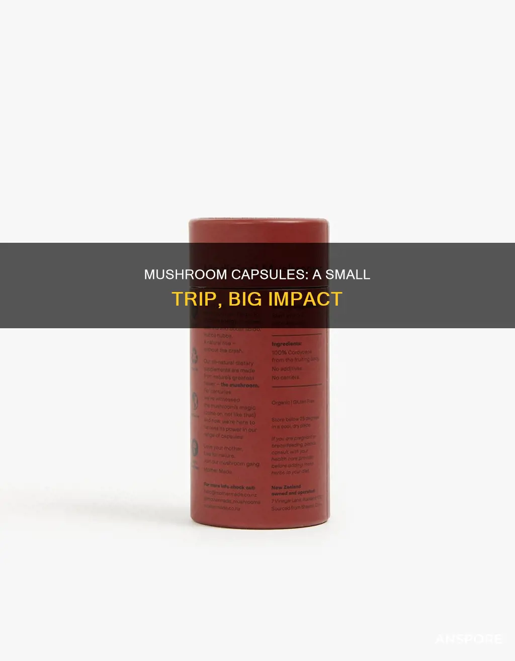 what mushroom capsules small trip