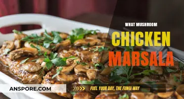Chicken Marsala: A Classic Italian Dish With Mushrooms