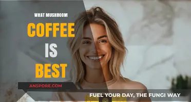 Mushroom Coffee: Which Blend is Best?