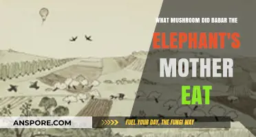 Babar's Mother's Mushroom Mystery: Unveiling the Elephant's Tale