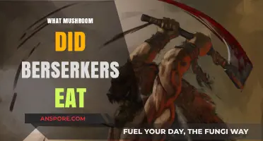 Unveiling the Berserker's Fury: The Mushroom Behind Their Legendary Rage