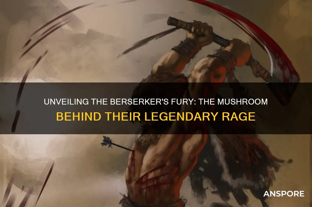 what mushroom did berserkers eat