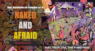 Naked and Afraid: Unveiling the Mushroom Fernando Consumed in the Wild