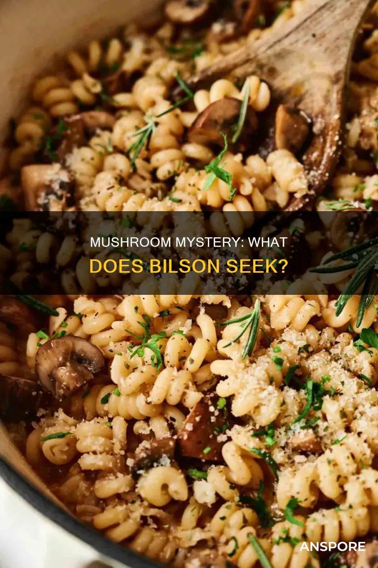 what mushroom does bilson want