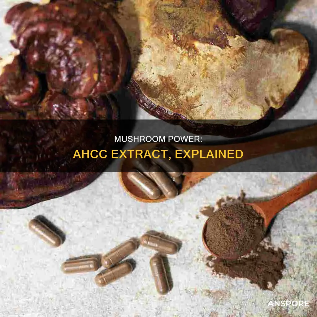 what mushroom extract is ahcc