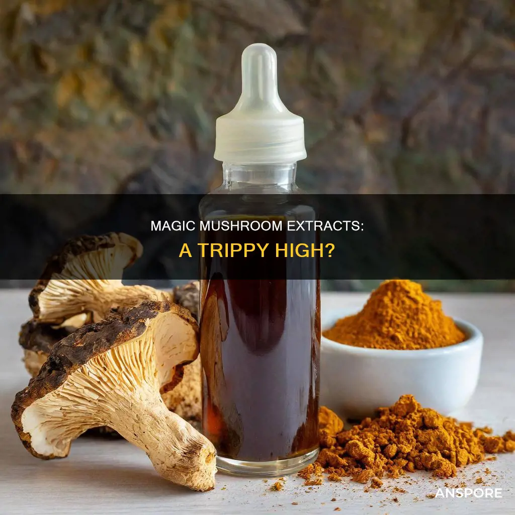 what mushroom extract will getyouhigh