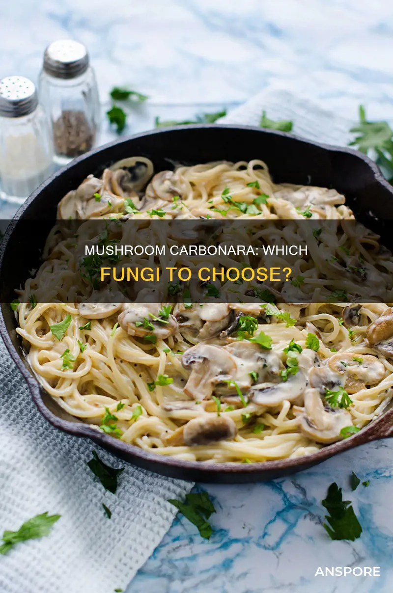 what mushroom for carbonara