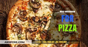Mushroom Magic: Top Pizza Picks