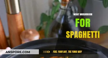 The Best Mushrooms for Your Spaghetti