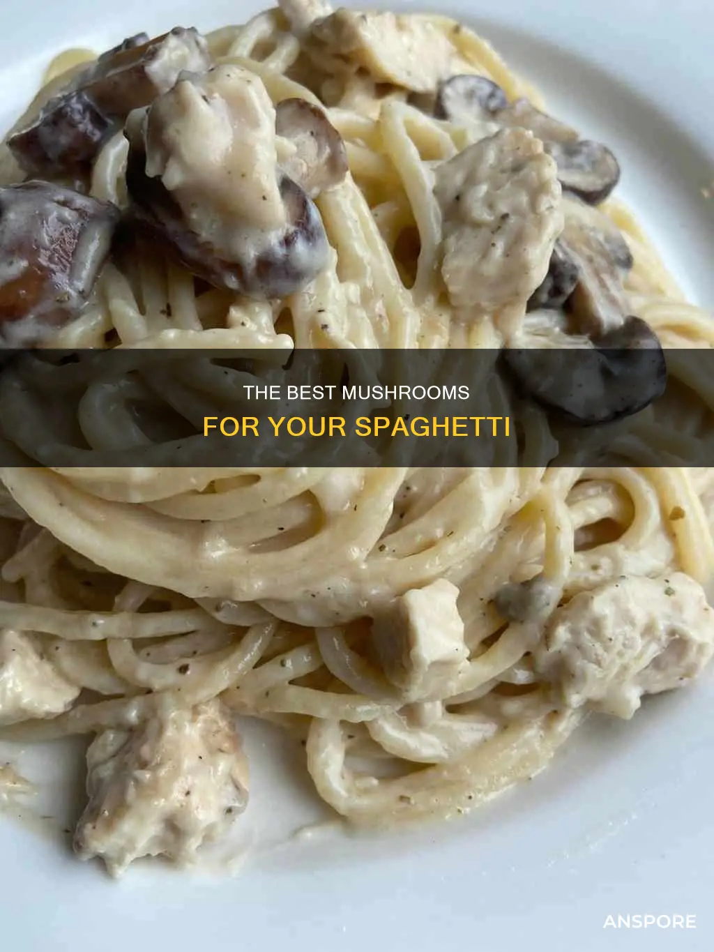what mushroom for spaghetti