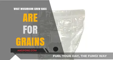 Mushroom Grow Bags: Efficient Grain Cultivation for Mycologists