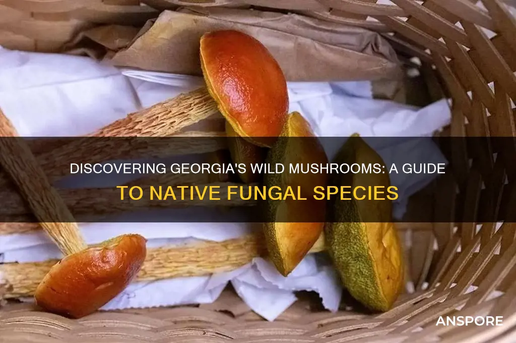 what mushroom grow in ga