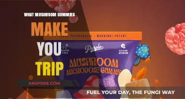 Exploring Psychedelic Mushroom Gummies: Which Ones Induce a Trip?