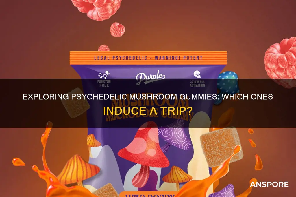 what mushroom gummies make you trip