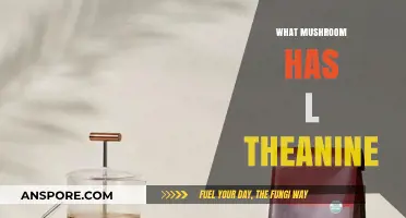 Mushroom Magic: Unveiling L-Theanine's Secret