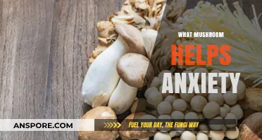 Magic Mushrooms: Natural Anxiety Relief?