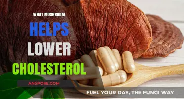 Mushroom Power: Lowering Cholesterol with Natural Remedies