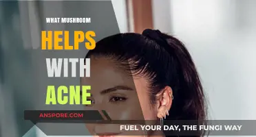 Mushroom Magic: Acne-Fighting Superheroes