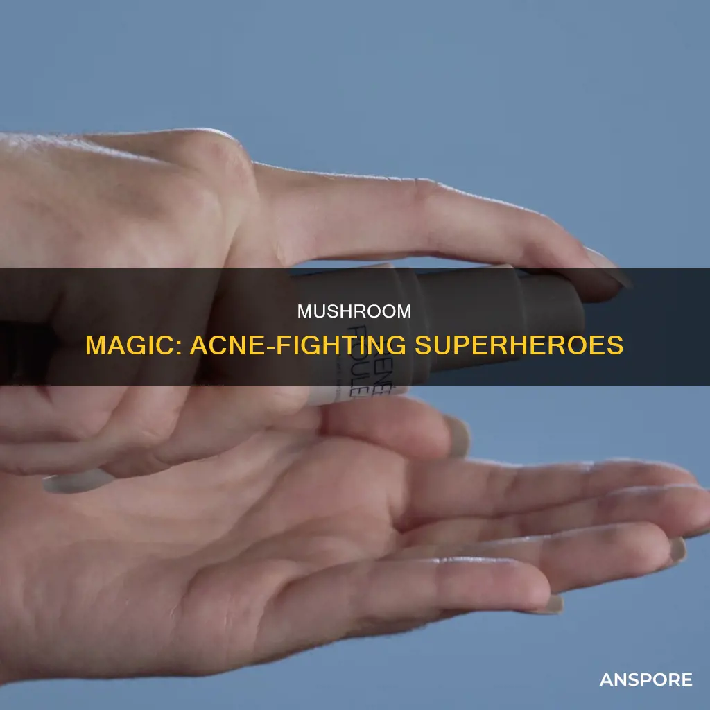 what mushroom helps with acne