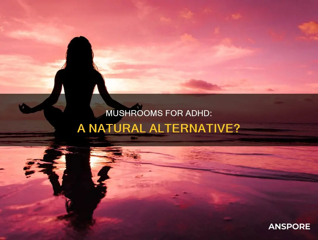 what mushroom helps with adhd
