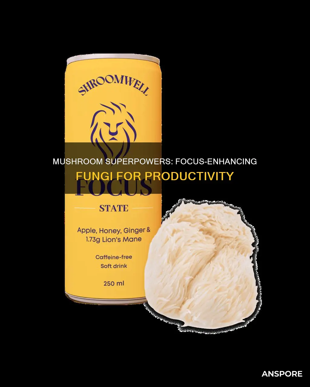 what mushroom helps with focus