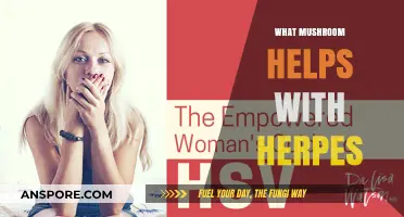 Mushroom Magic: Herpes Treatment